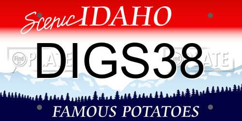 DIGS38 Idaho License Plate