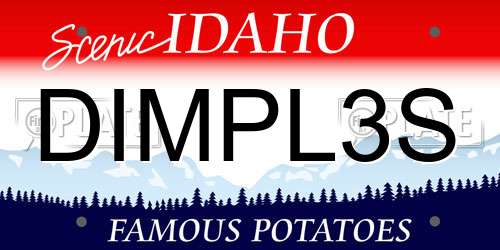 DIMPL3S Idaho License Plate