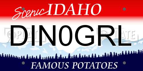 DIN0GRL Idaho License Plate