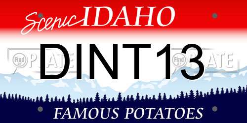 DINT13 Idaho License Plate