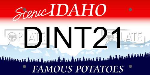 DINT21 Idaho License Plate