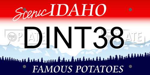 DINT38 Idaho License Plate