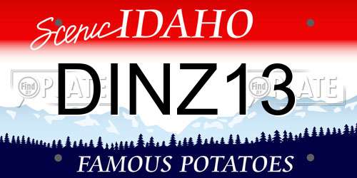 DINZ13 Idaho License Plate