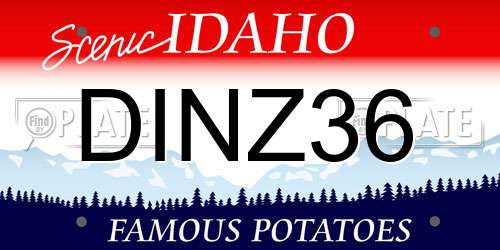 DINZ36 Idaho License Plate