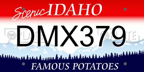 DMX379 Idaho License Plate