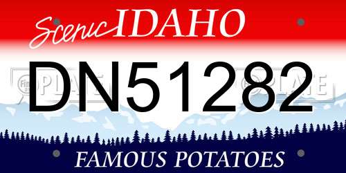 DN51282 Idaho License Plate