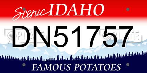 DN51757 Idaho License Plate