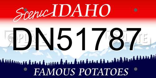 DN51787 Idaho License Plate