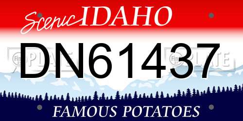 DN61437 Idaho License Plate
