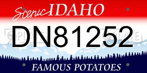 DN81252 Idaho License Plate