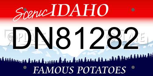DN81282 Idaho License Plate