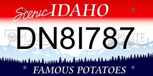 DN8I787 Idaho License Plate