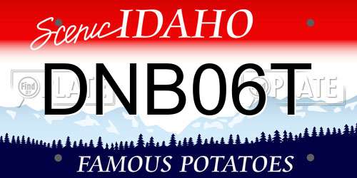 DNB06T Idaho License Plate