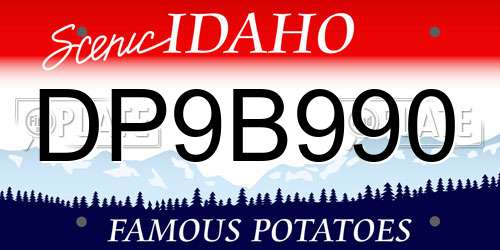 DP9B990 Idaho License Plate