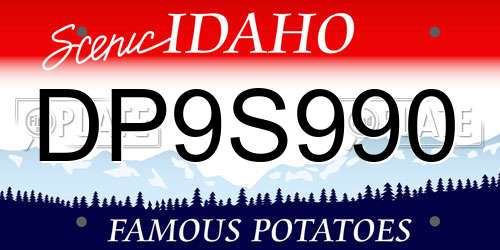 DP9S990 Idaho License Plate