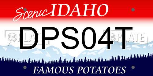 DPS04T Idaho License Plate