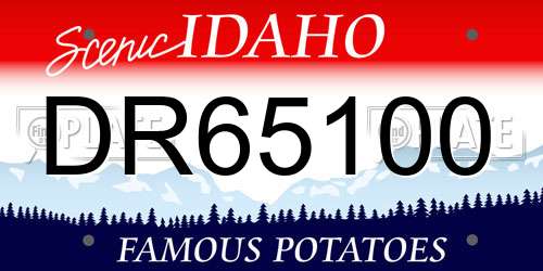 DR65100 Idaho License Plate