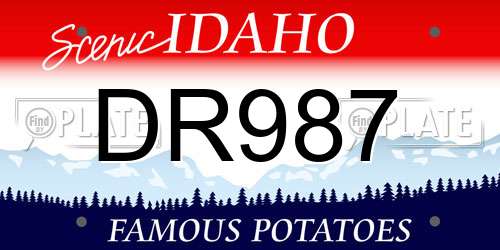 DR987 Idaho License Plate