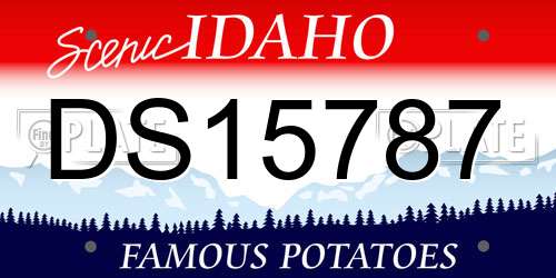 DS15787 Idaho License Plate