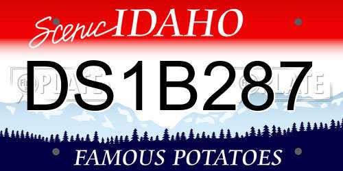 DS1B287 Idaho License Plate