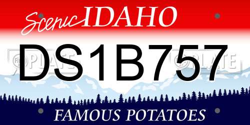 DS1B757 Idaho License Plate