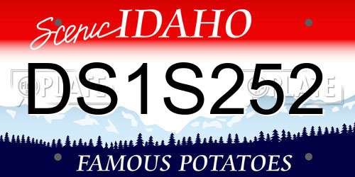 DS1S252 Idaho License Plate