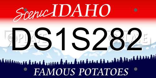 DS1S282 Idaho License Plate