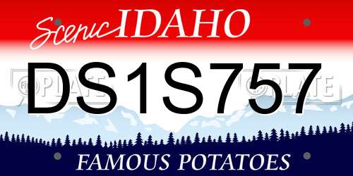 DS1S757 Idaho License Plate