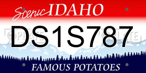 DS1S787 Idaho License Plate