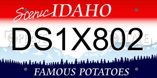 DS1X802 Idaho License Plate