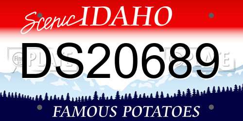DS20689 Idaho License Plate