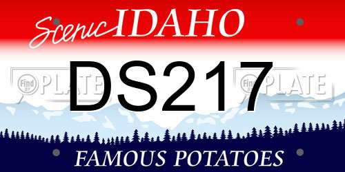 DS217 Idaho License Plate
