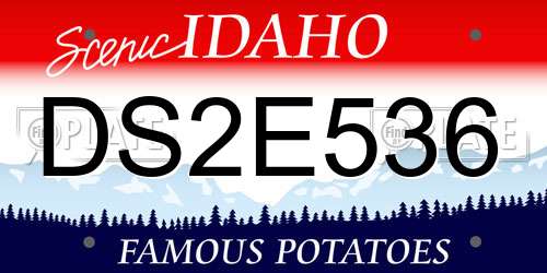 DS2E536 Idaho License Plate