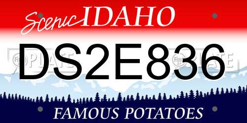 DS2E836 Idaho License Plate
