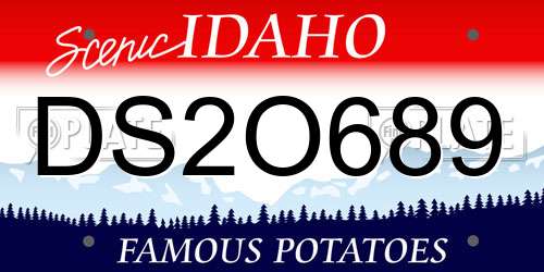 DS2O689 Idaho License Plate
