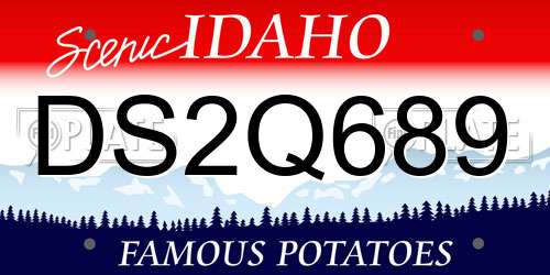 DS2Q689 Idaho License Plate