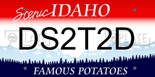 DS2T2D Idaho License Plate
