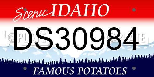DS30984 Idaho License Plate