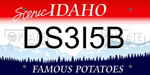 DS3I5B Idaho License Plate