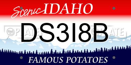 DS3I8B Idaho License Plate