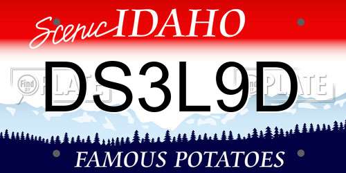 DS3L9D Idaho License Plate