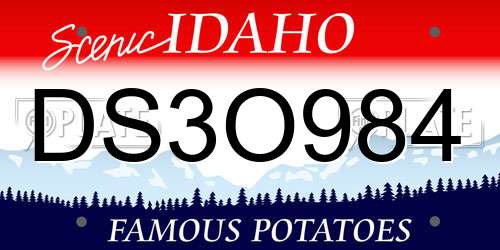 DS3O984 Idaho License Plate
