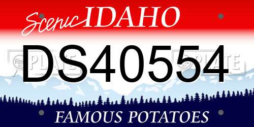DS40554 Idaho License Plate