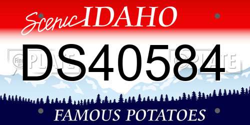 DS40584 Idaho License Plate