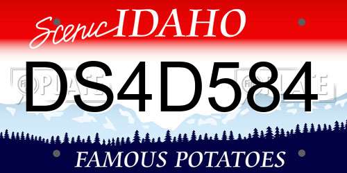 DS4D584 Idaho License Plate