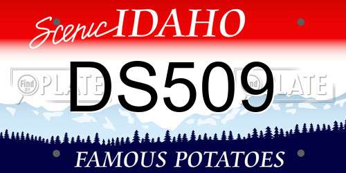 DS509 Idaho License Plate