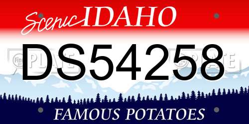 DS54258 Idaho License Plate