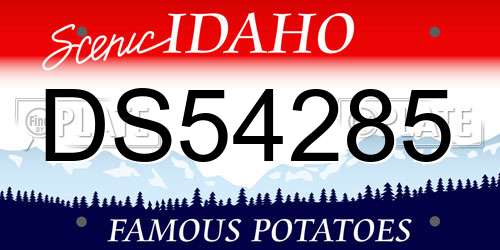 DS54285 Idaho License Plate