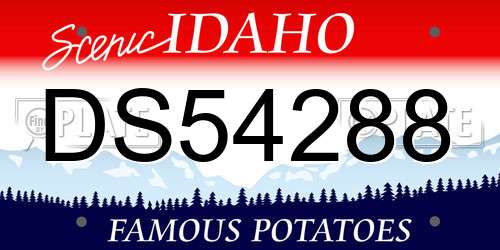 DS54288 Idaho License Plate
