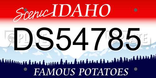 DS54785 Idaho License Plate
